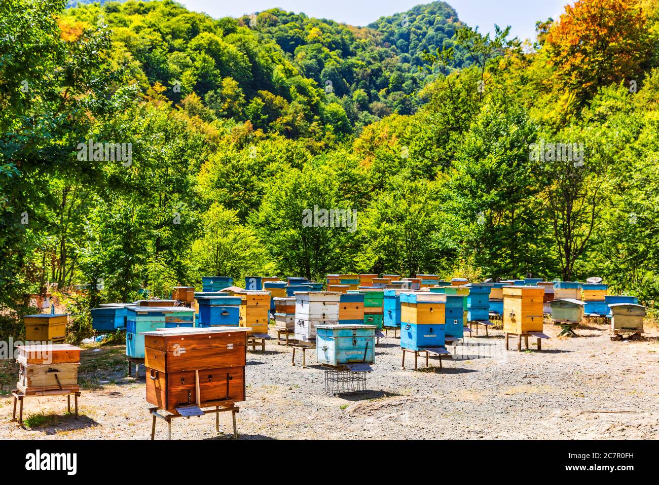 bees hives Tavush mountains in Armenia   eastern Europe Stock Photo