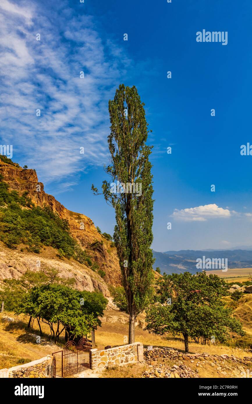 Poplar tree in Ardvi area  landscape landmark of Lorri Armenia eastern Europe Stock Photo