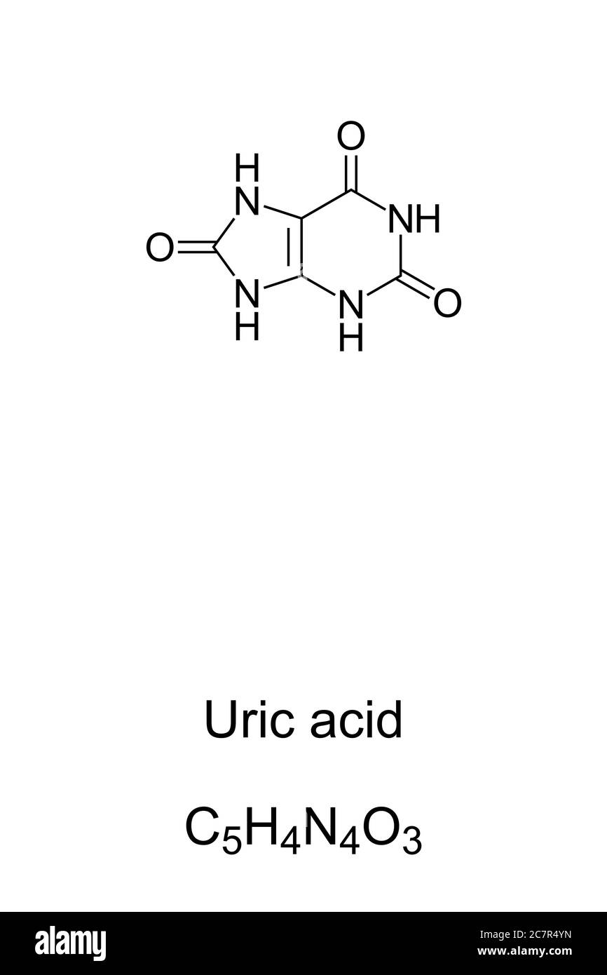 Uric acid chemical structure and formula. Product of metabolic