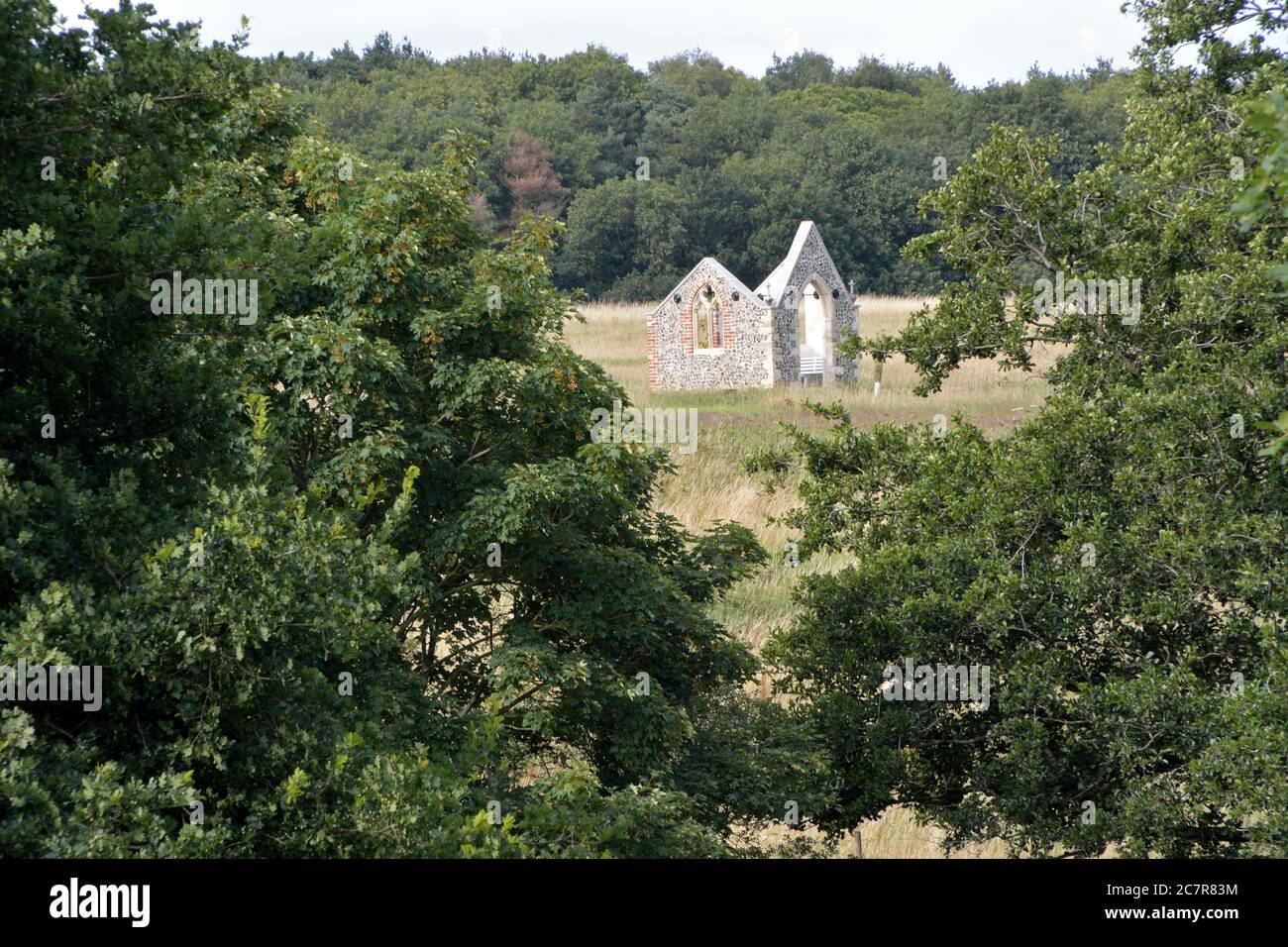 Flint building seen through the trees at Ladybelt Country Park, East Carleton, Norfolk. Stock Photo