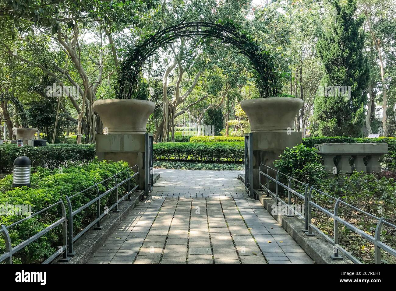 The outdoor footpath, green plant decoration, plant and tree in the park Stock Photo