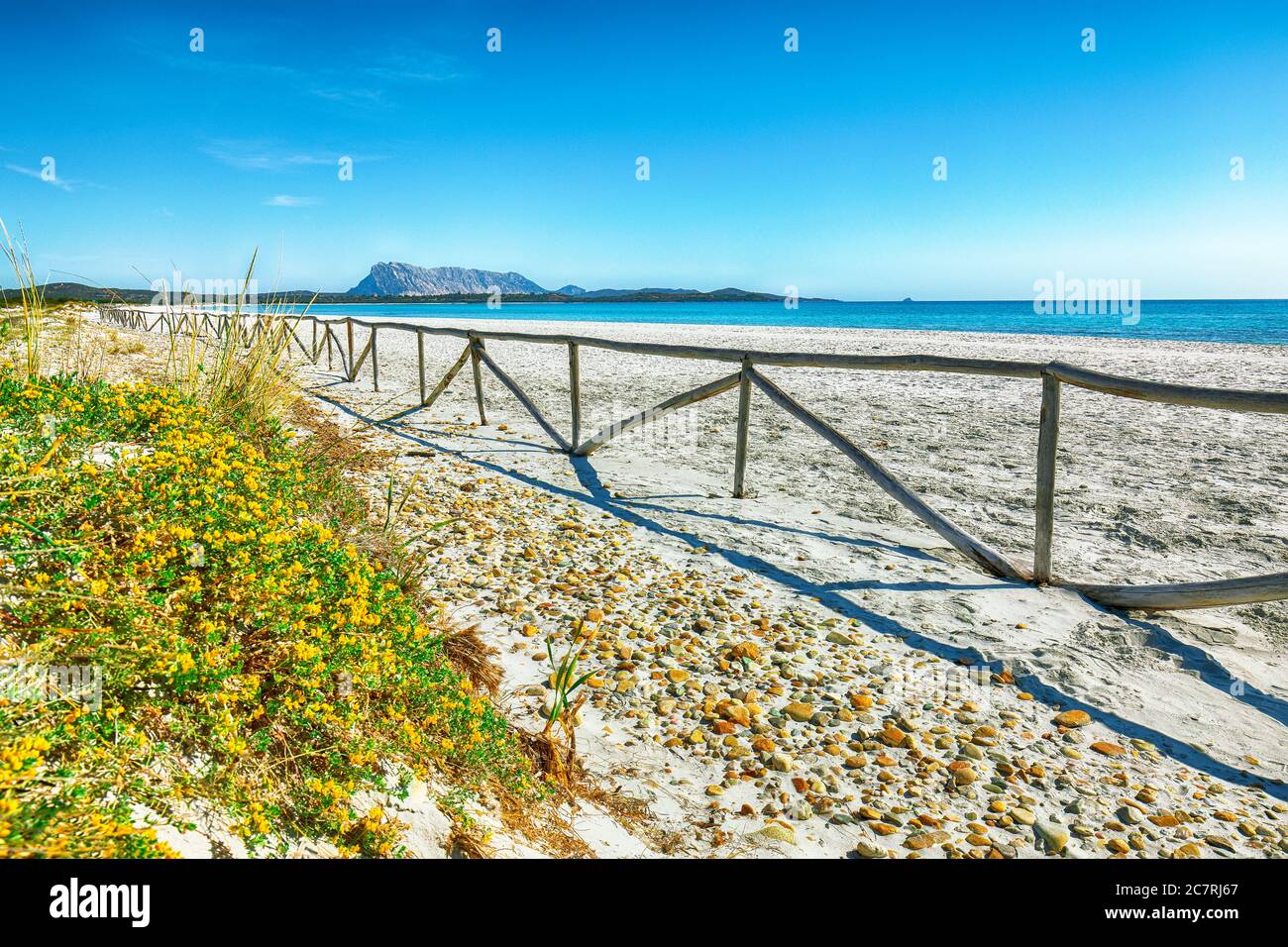 Landscape of grass and flowers in sand dunes on the beach La Cinta. Turquoise water and white sand. Location: San Teodoro, Olbia Tempio province, Sard Stock Photo