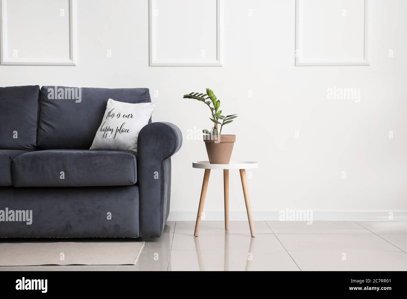 Stylish sofa and table with houseplant near light wall in room Stock