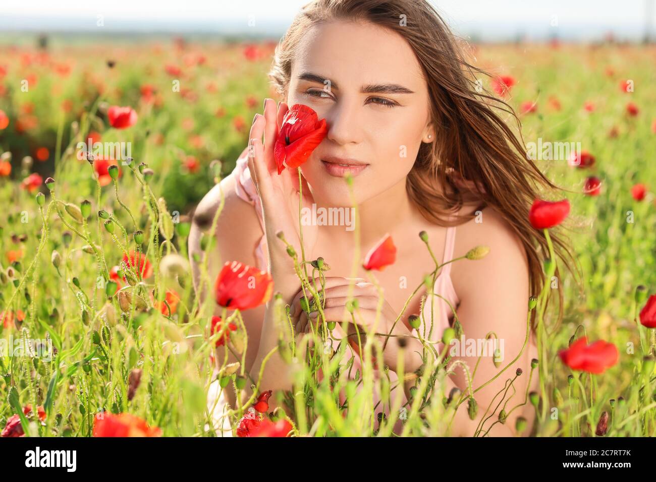 Woman in poppy field hi-res stock photography and images - Alamy