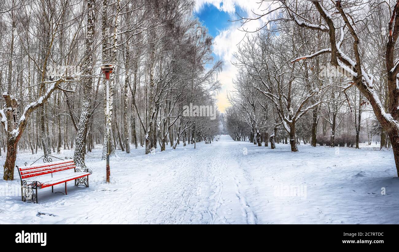 Park bench and trees covered by heavy snow. Lots of snow in city park ...