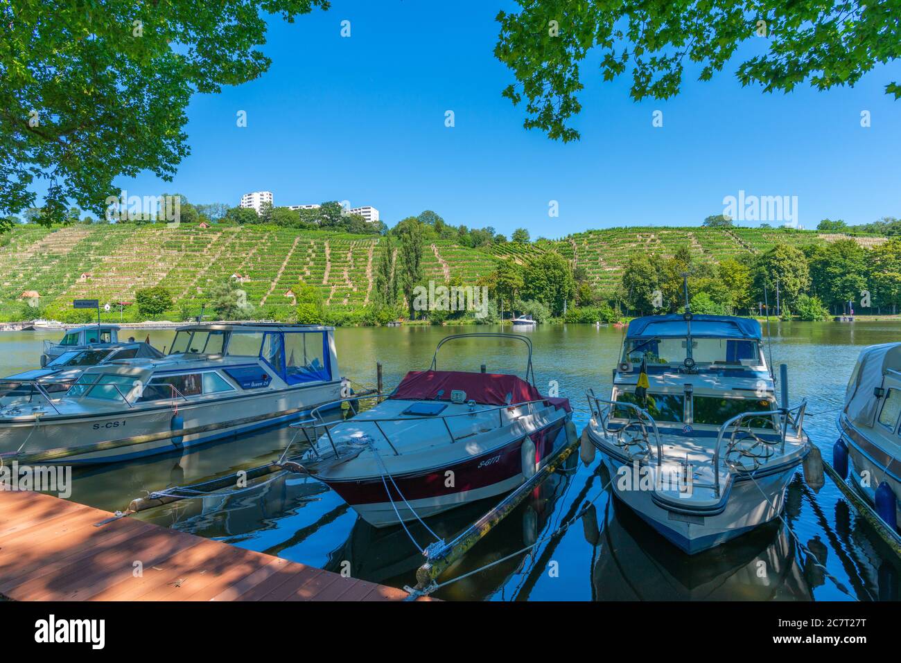 Vinyards of Mühlhausen along the Neckar River, City of Stuttgart, Baden-Württemberg, South Germany, Central Europe Stock Photo