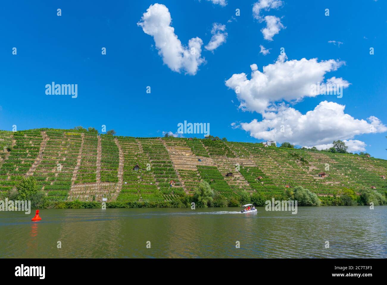 Vineyards of Stuttgart-Mühlhausen on the Neckar River, City of Stuttgart, Baden-Württemberg, South Germany, Central Europe Stock Photo