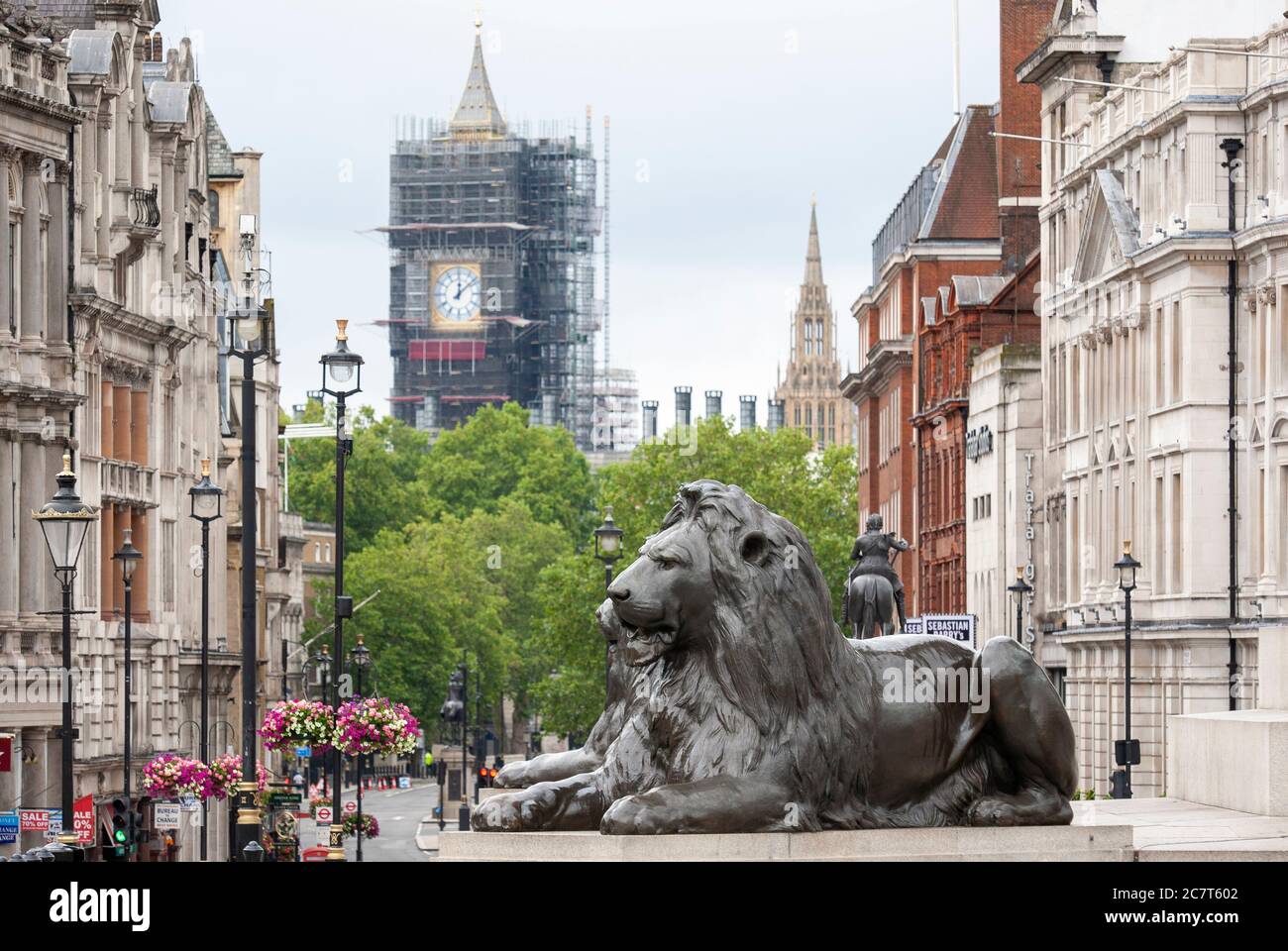 Landseer lion in Trafalgar Square with Big Ben clock in the background. London UK Stock Photo