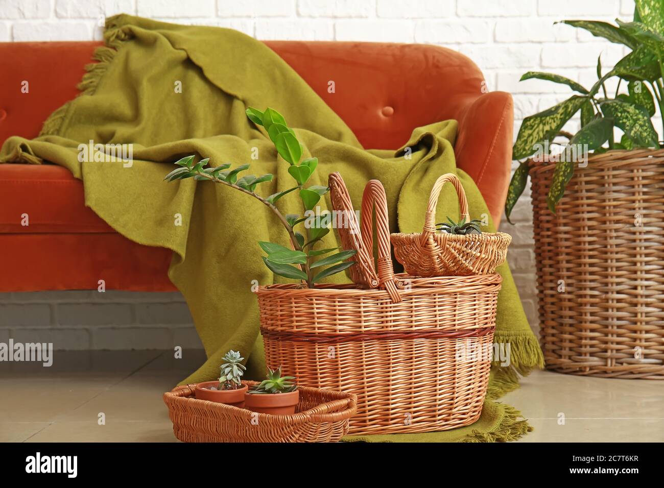 Sofa with wicker baskets, houseplants and plaid in room Stock Photo Alamy