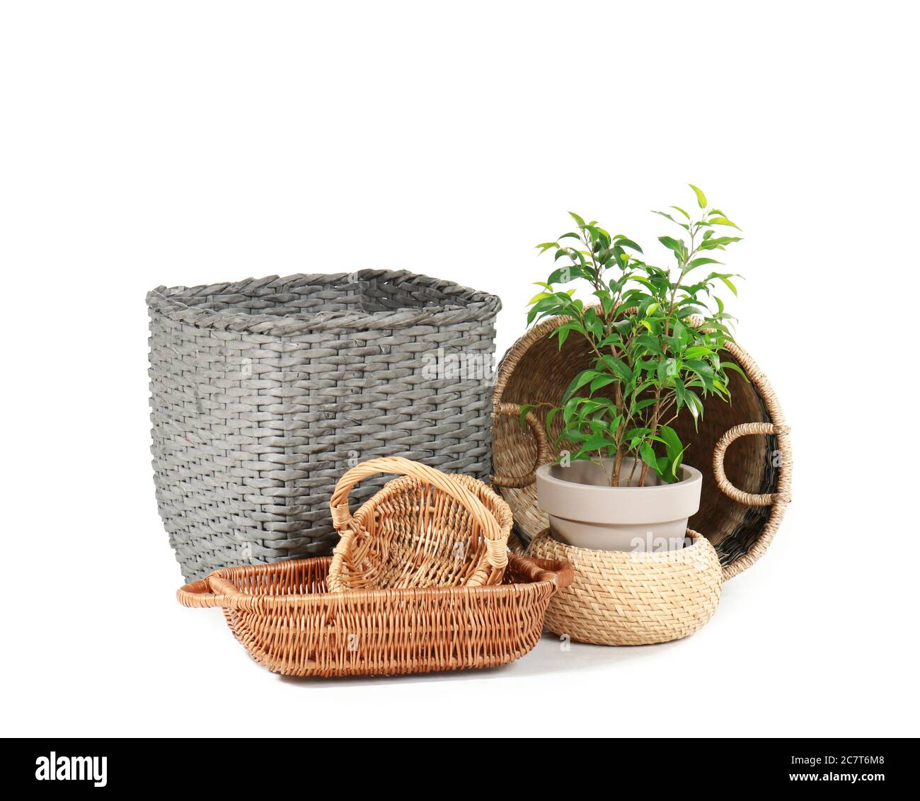 Wicker baskets with houseplant on white background Stock Photo Alamy