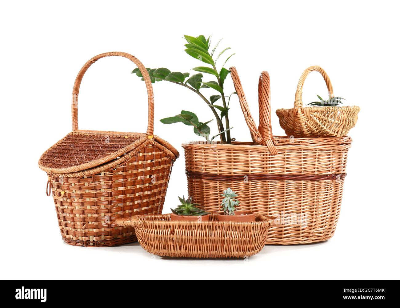 Wicker baskets with houseplants on white background Stock Photo Alamy