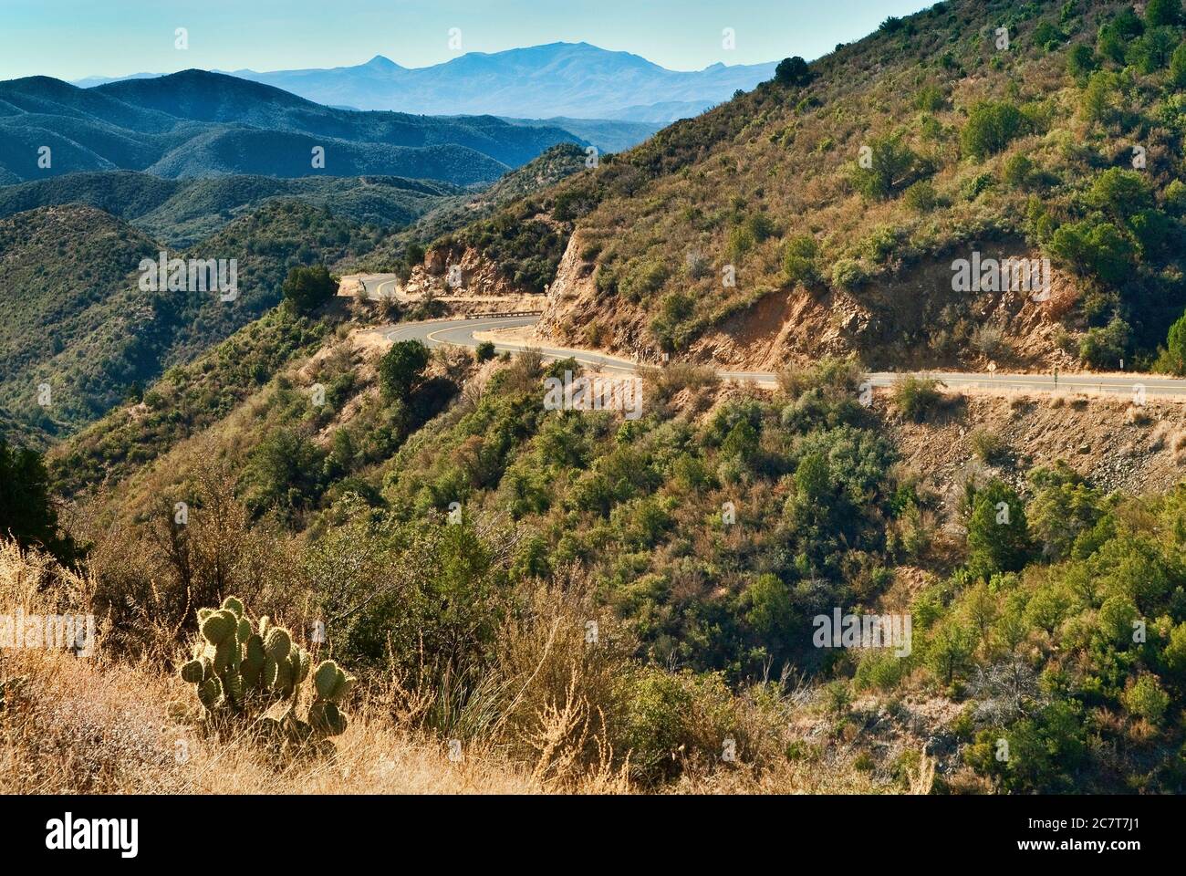 White Spar Road in Bradshaw Mountains Prescott National Forest, near