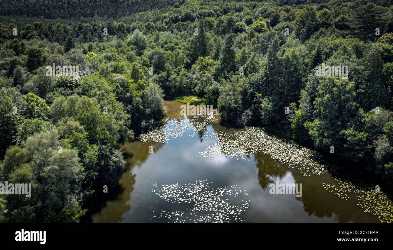 Lake Reflexions Stock Photo