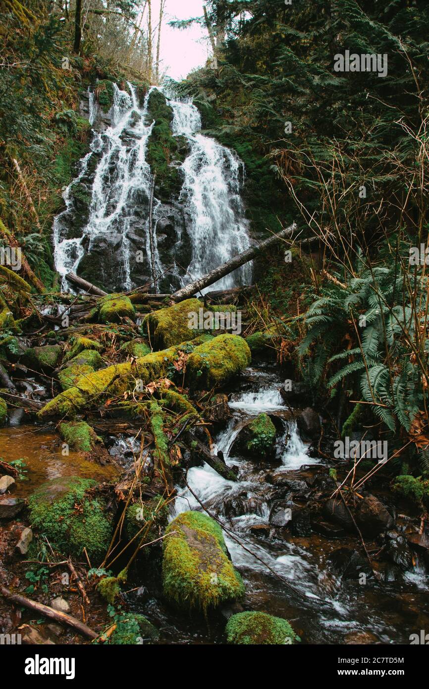 Vertical shot of a waterfall in the forest Stock Photo - Alamy