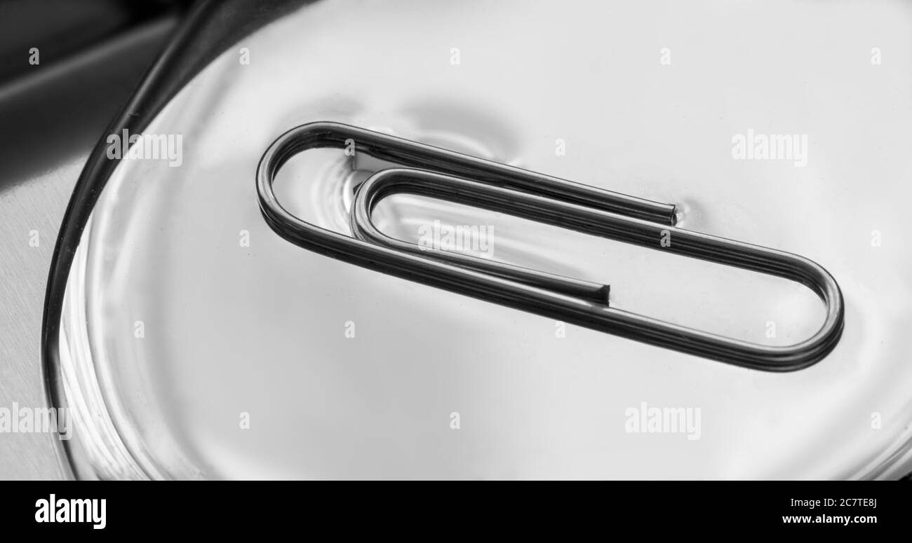 Mercury surface tension hires stock photography and images Alamy