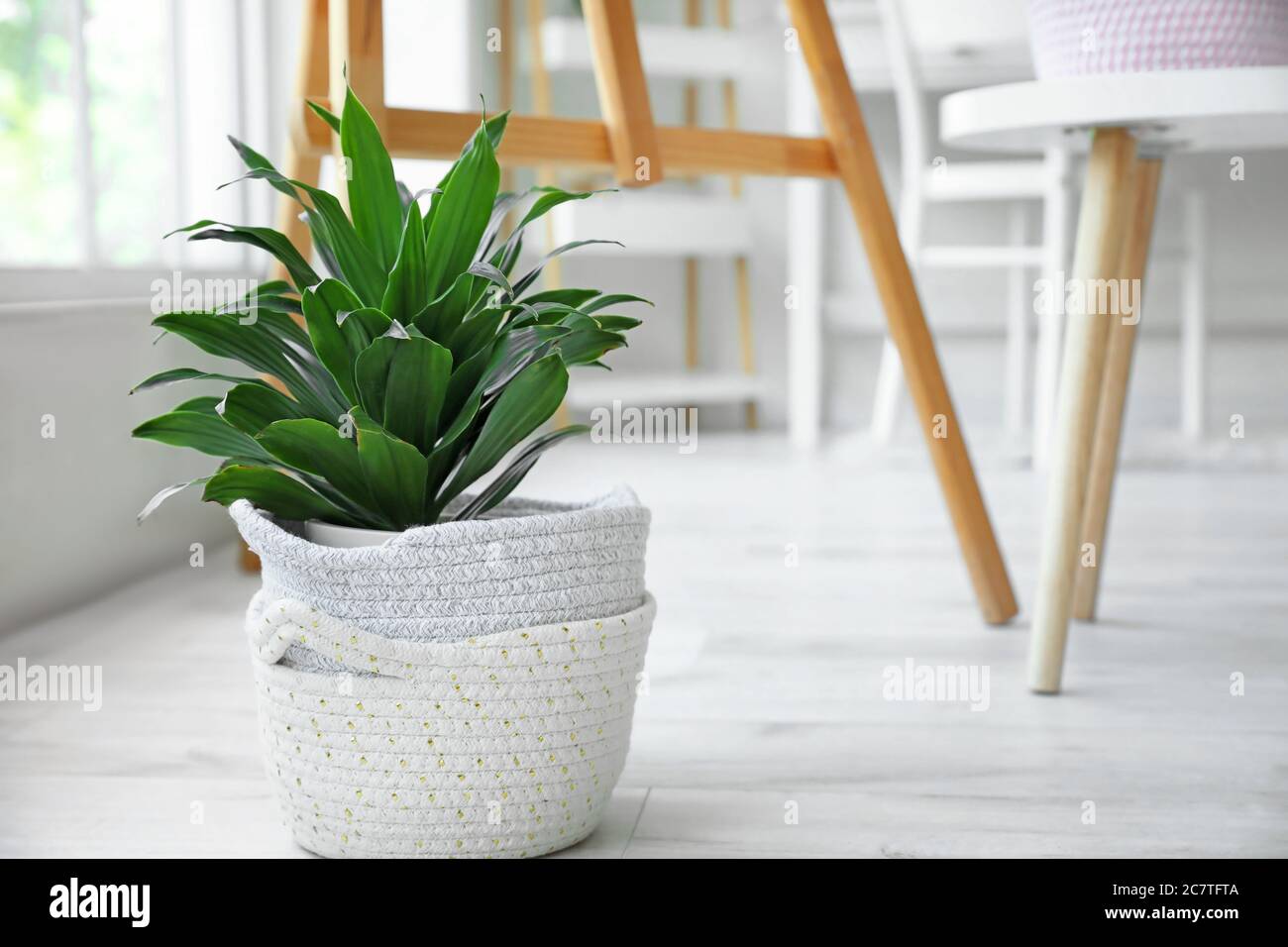 Wicker baskets with houseplant in room Stock Photo Alamy