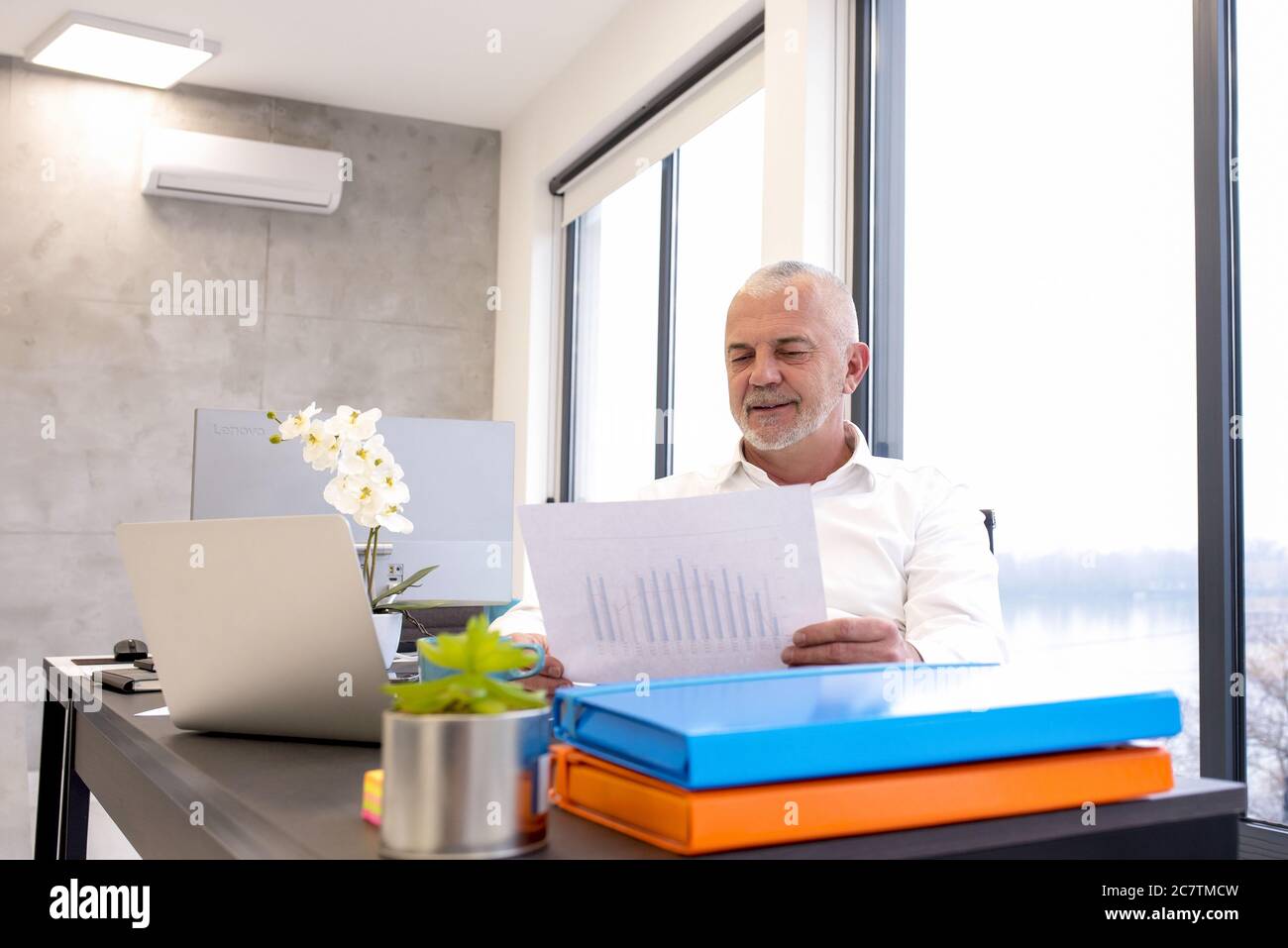 Senior businessman reading report while working in the office Stock Photo
