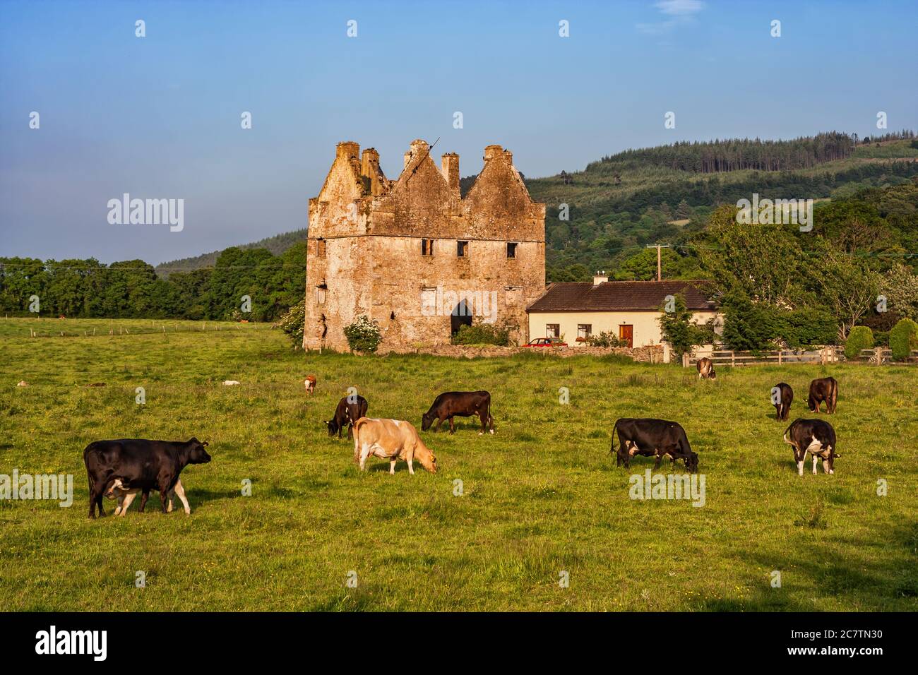 Indicated — Barn Demesne (inishlounaght Par.)