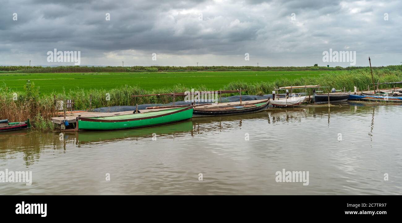 Stromy Rice Field Rice cover hi-res stock photography and images - Alamy