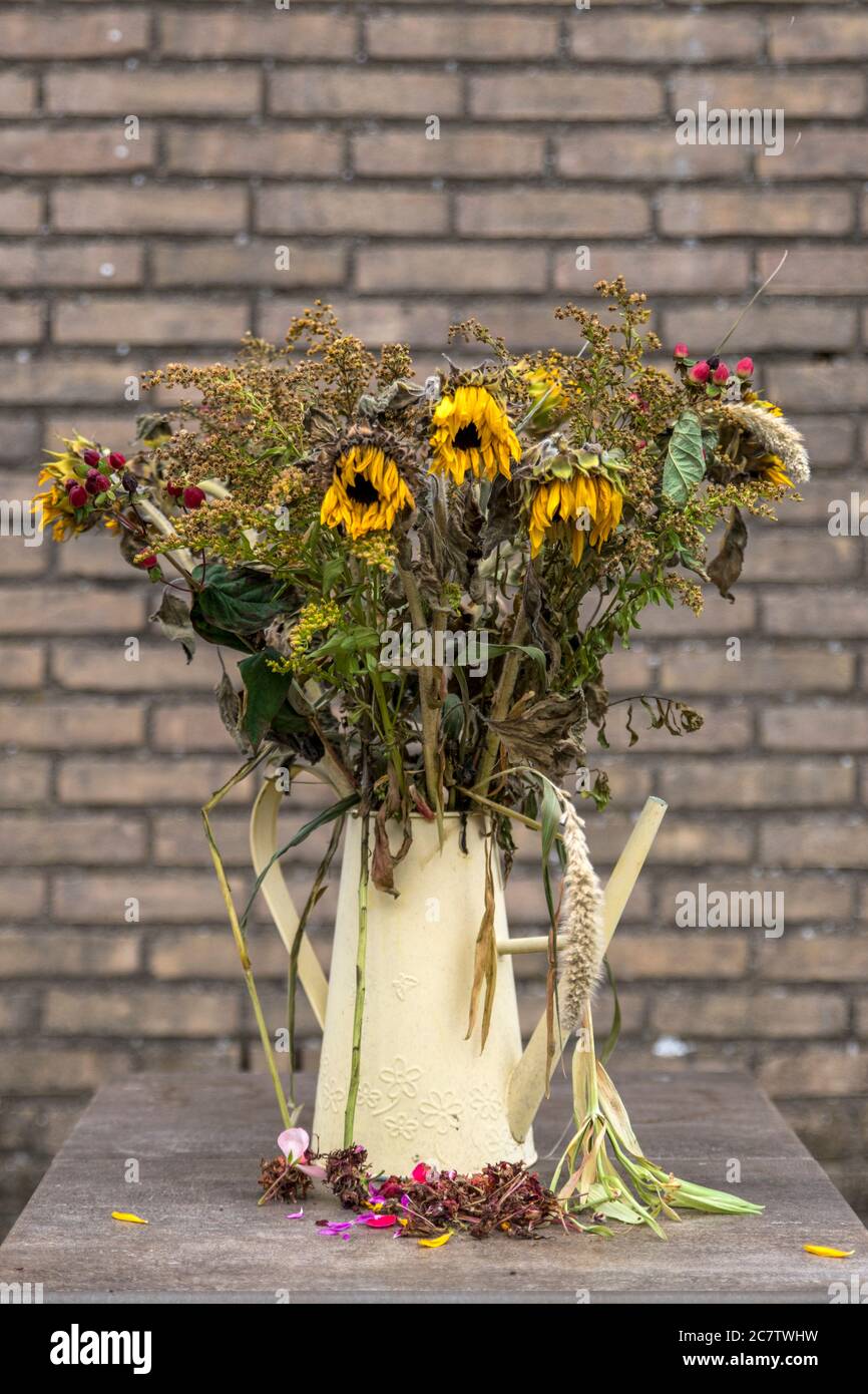 Looking slightly down at a vase of dying flower arrangement, large once bright now dying sun flowers in a vase on a very large marble dining table Stock Photo