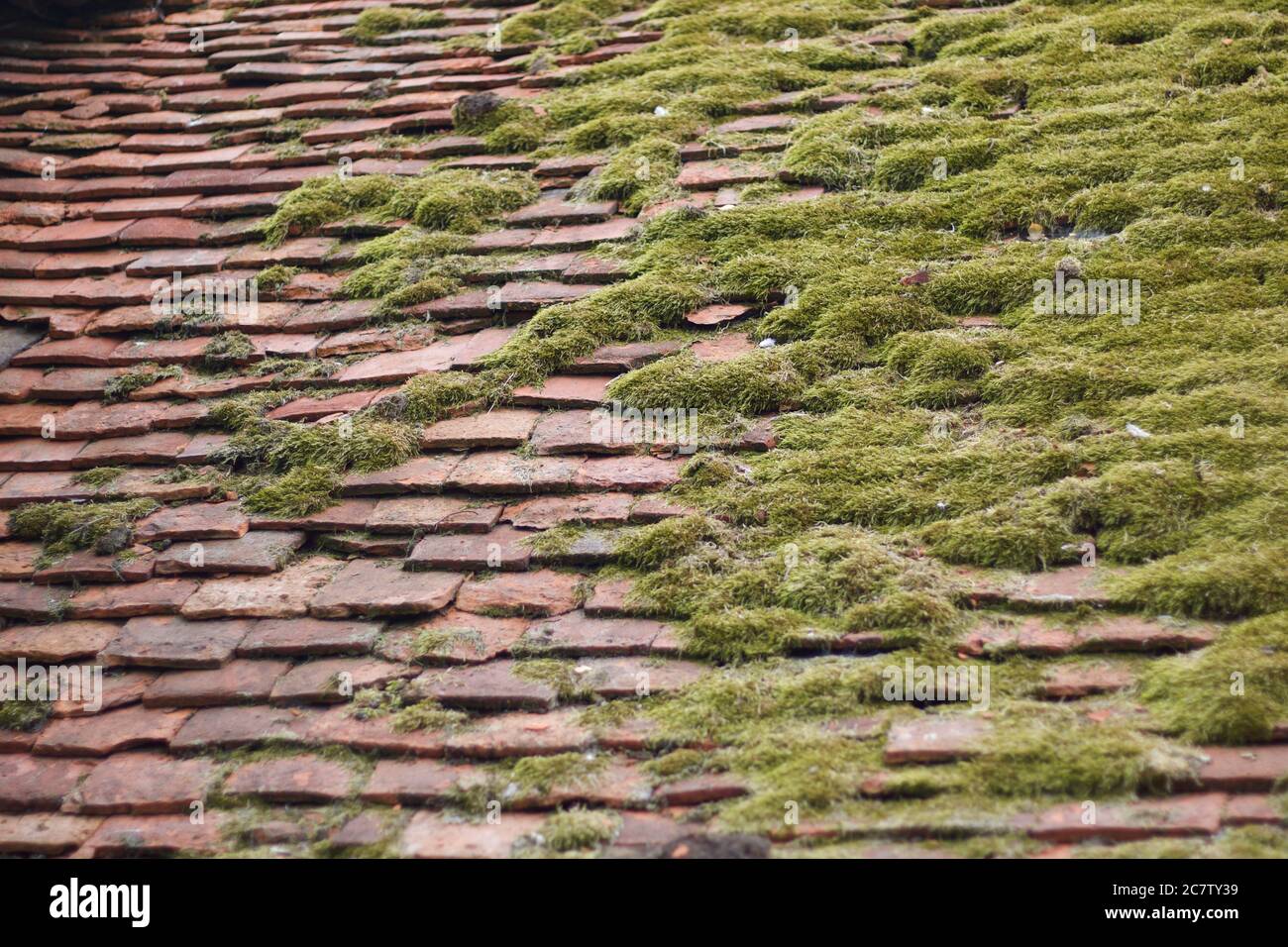 Broken terracotta tiles hi-res stock photography and images - Alamy