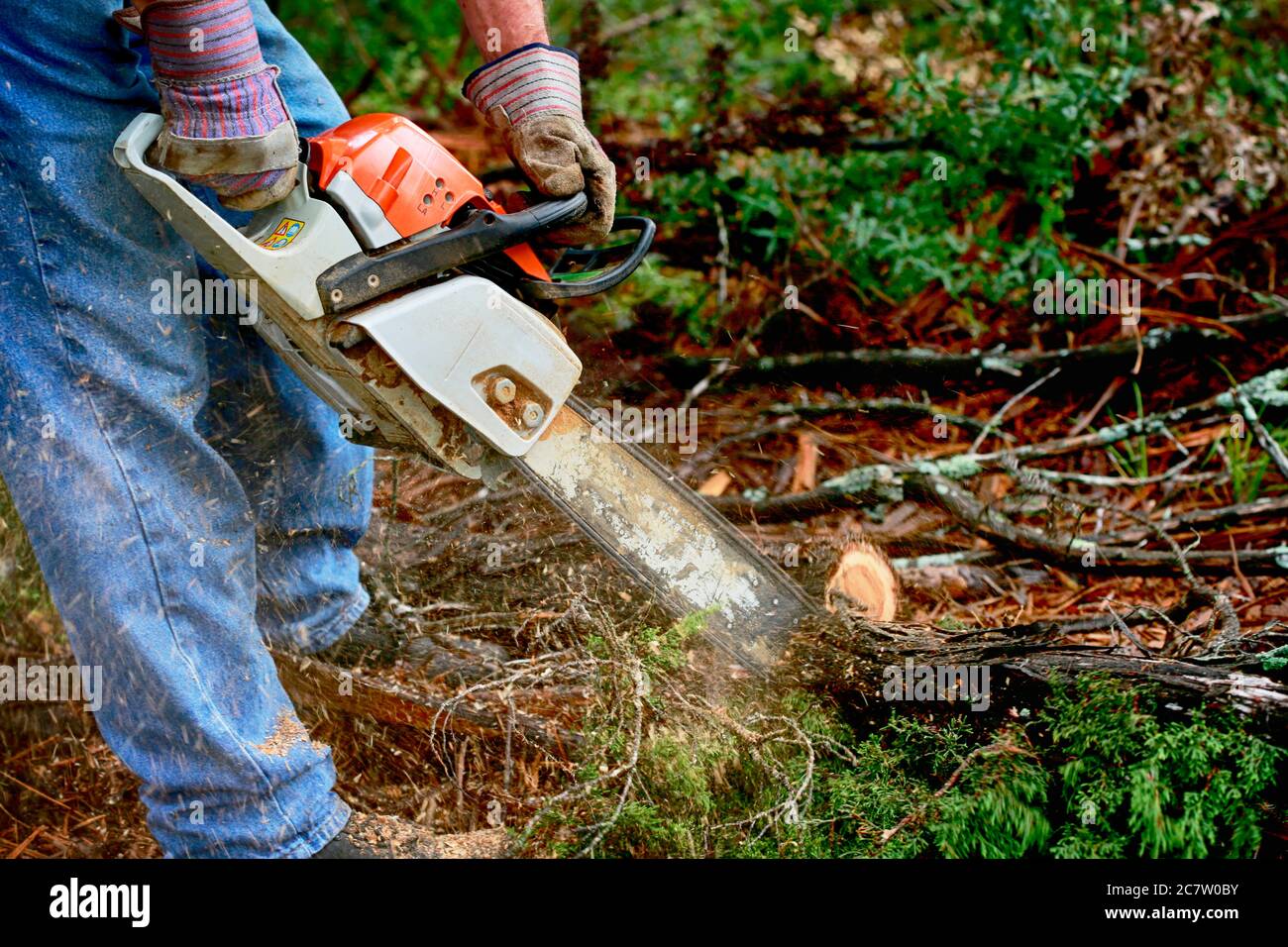 Workman using chainsaw hi-res stock photography and images - Alamy