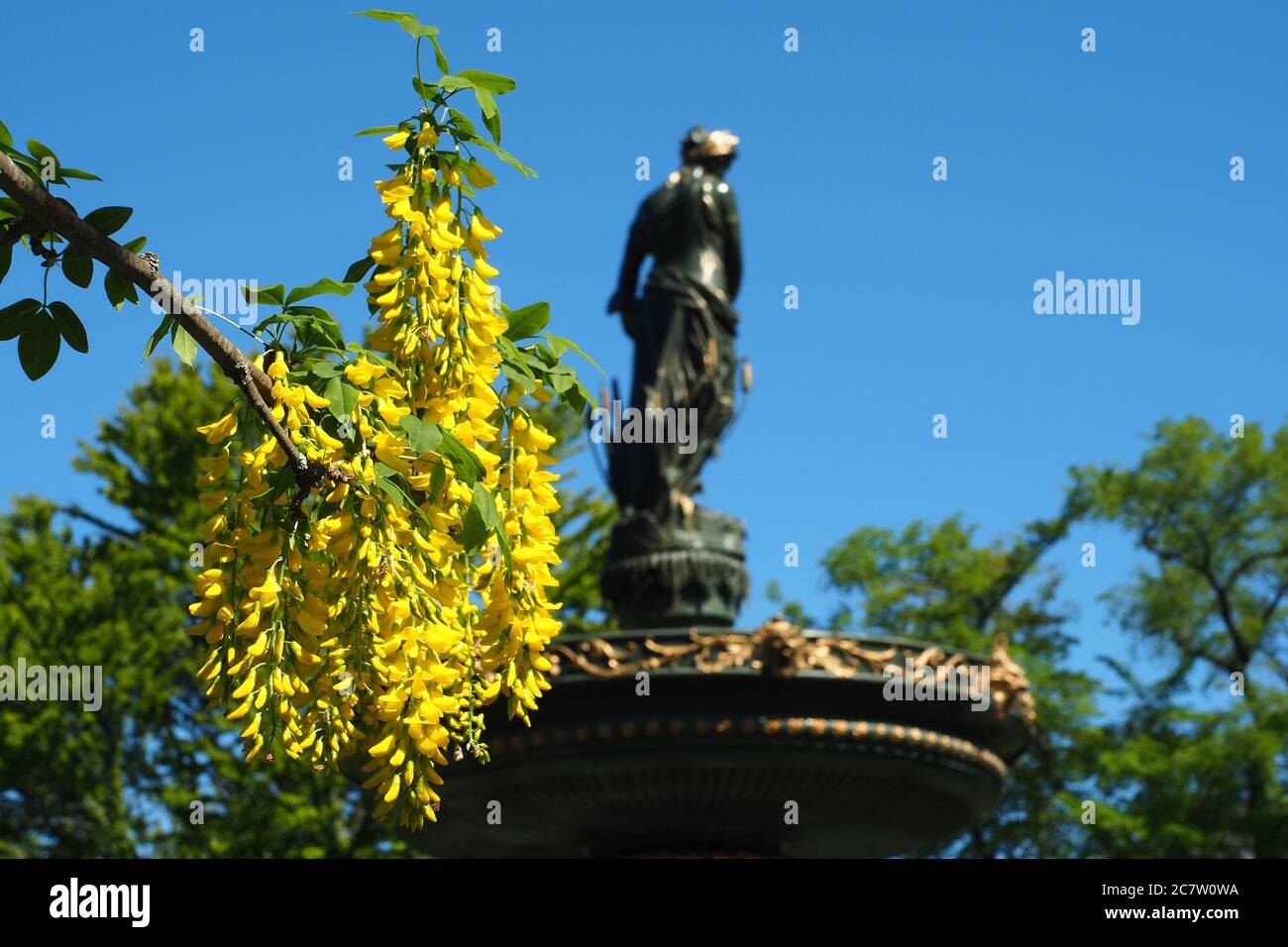 Woman statue and a golden chain tree in the park in Halifax, Canada