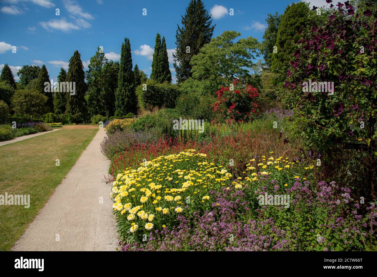 Hampshire, England, UK,. 2020. Mixed bedding plants on Centenary border