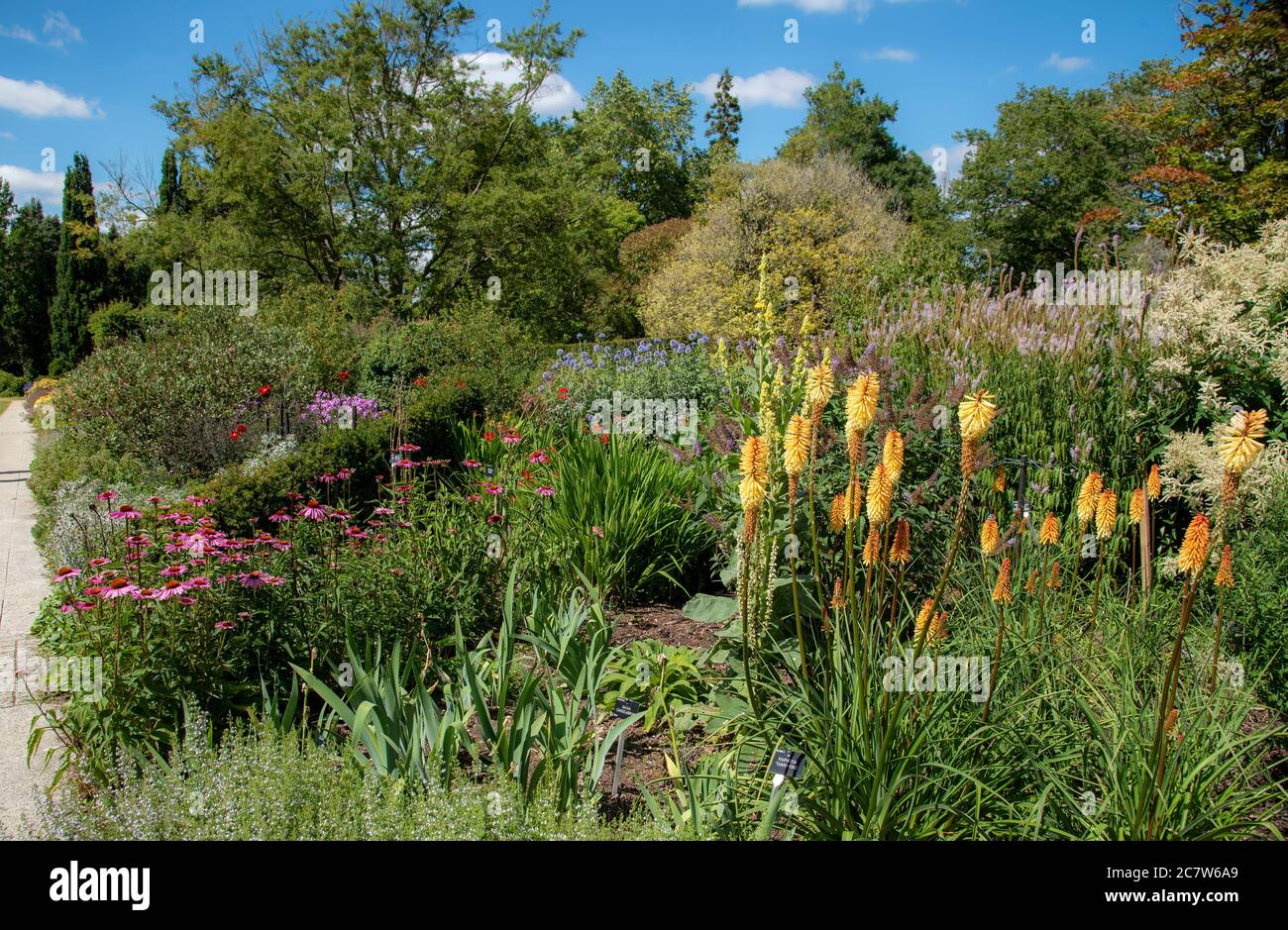 Hampshire, England, UK,. 2020. Mixed bedding plants on Centenary border