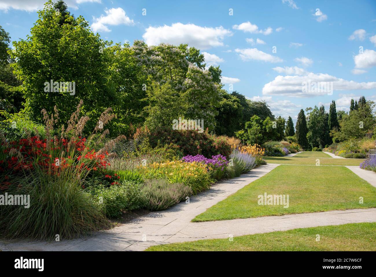 Summer border bedding plants hires stock photography and images Alamy