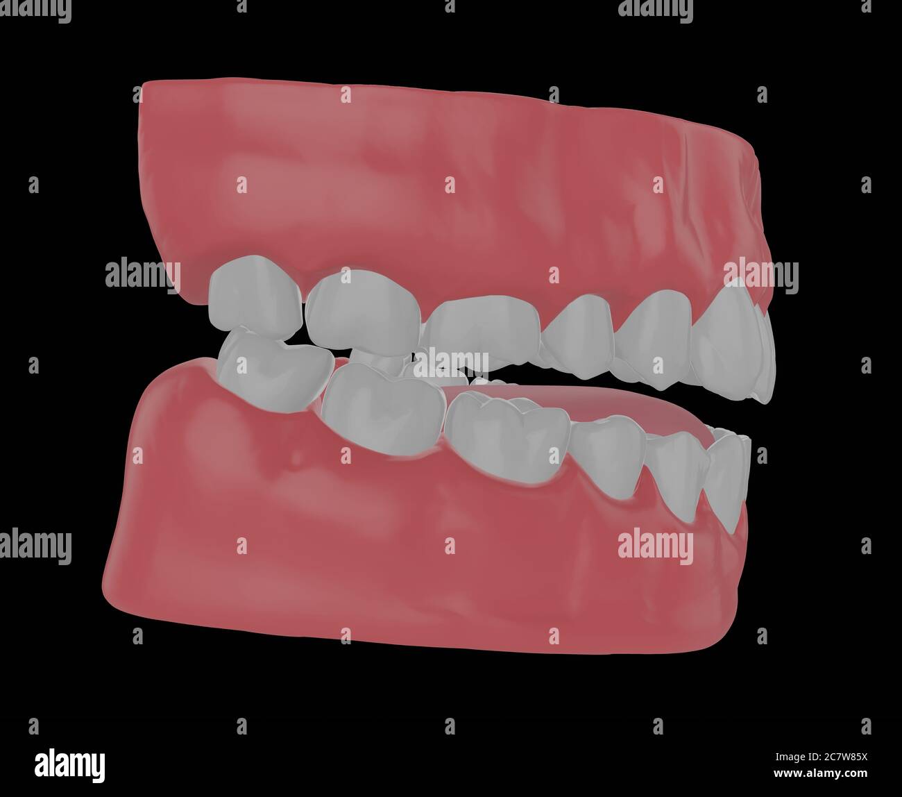 human jaw with straight teeth, correct bite, 3d render Stock Photo Alamy