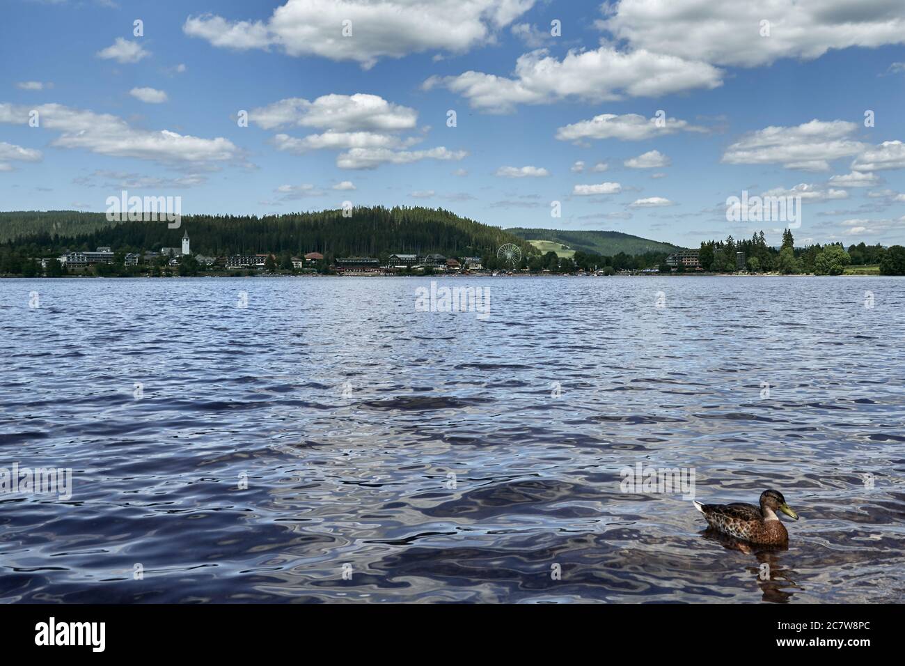 Lake Titisee in the Black Forest with green vegetation and the town behind the water in Titisee-Neustadt, Germany Stock Photo