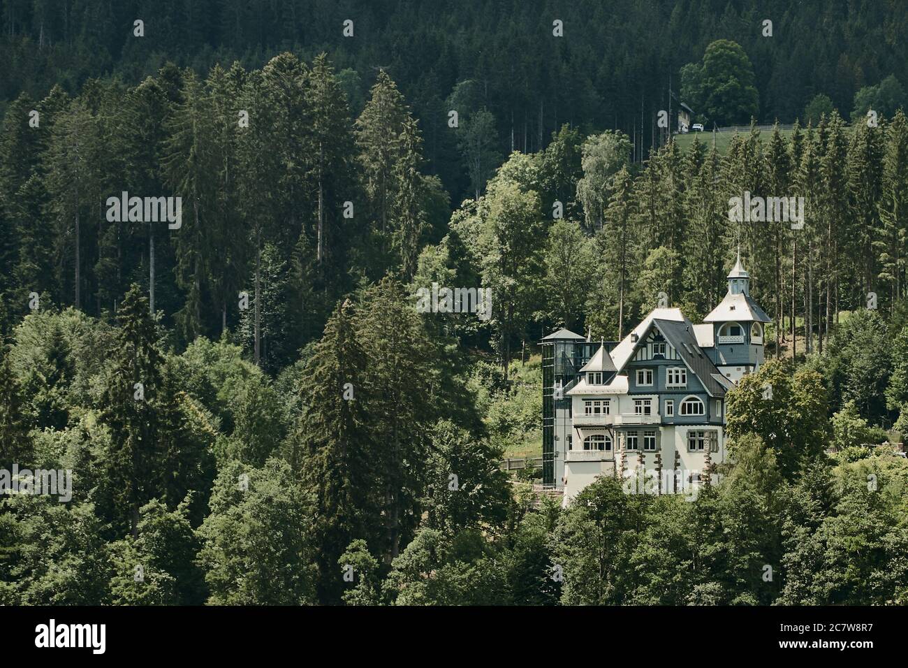 EnBW seminar and vacation house at lake Titisee, surrounded by green vegetation in the Black forest region Stock Photo