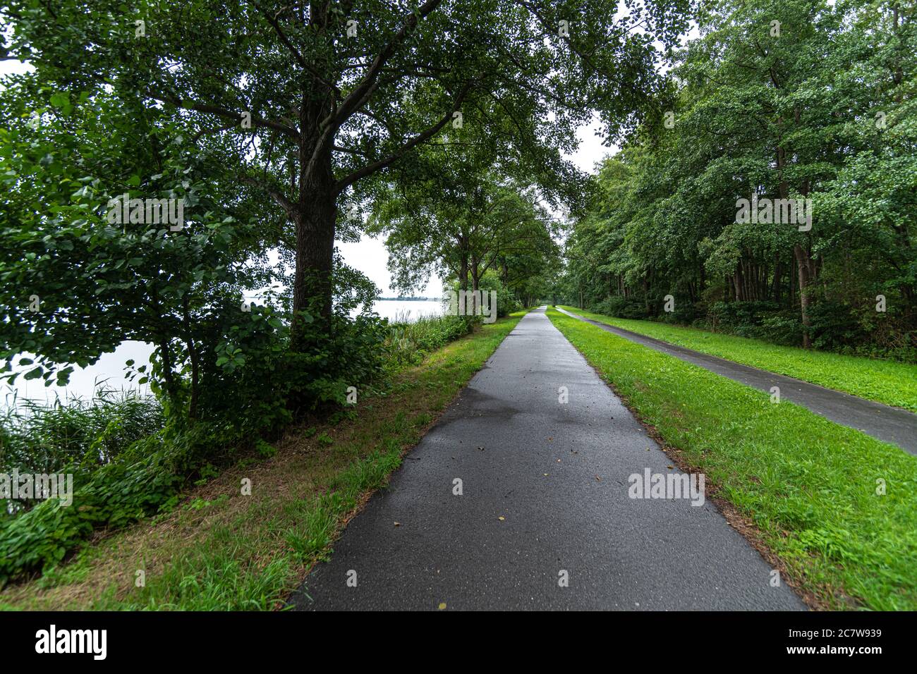 Walkway and Bicycle Trail along the Steinhuder Meer, Germany Stock Photo