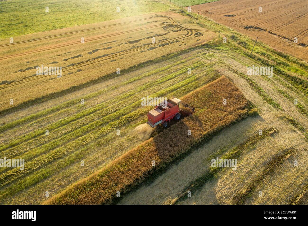 Harvisting Field Harvester harvesting fields frm the drone perspective, aerial view ...