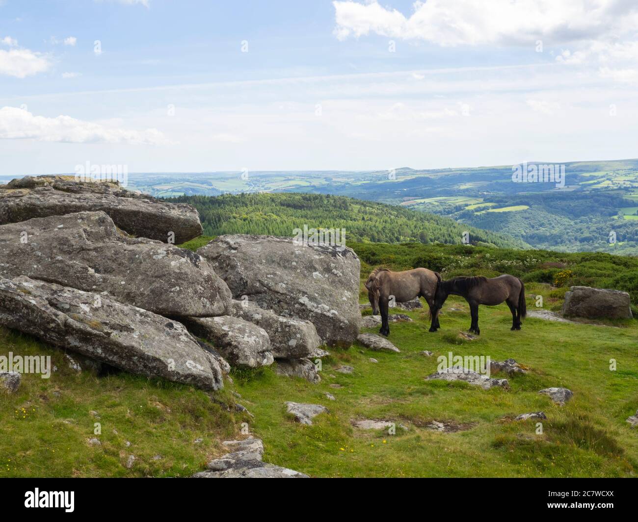 Conical Beacon High Resolution Stock Photography and Images - Alamy
