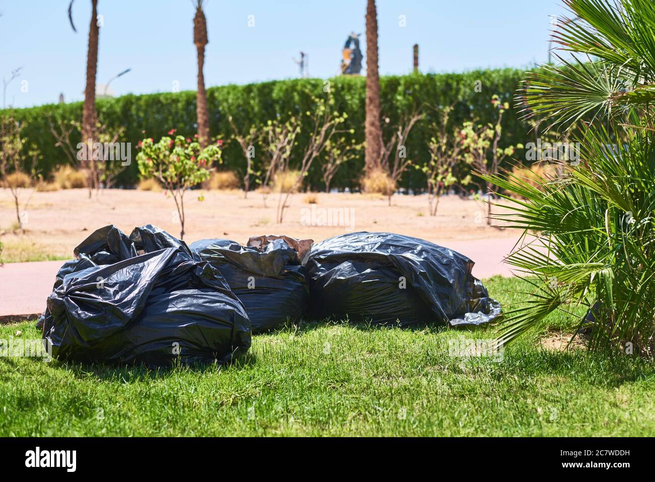 Black plastic bags wit garbage on the grass Stock Photo