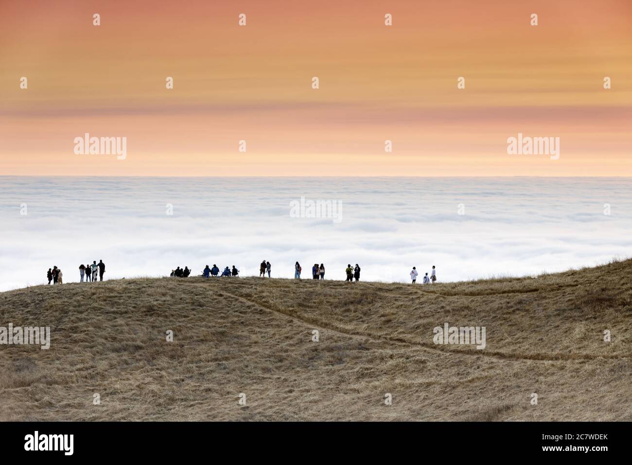 Above the clouds at Mt Tamalpais, looking at Bolinas Bay and the Pacific Ocean covered with fog. Stock Photo
