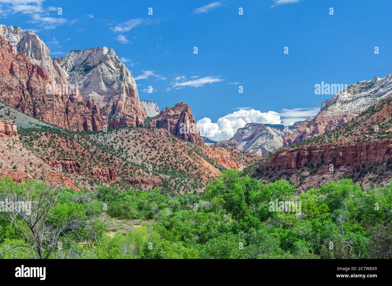 Scenic view of Zion Canyon with green trees and red mountains in the morning light Stock Photo