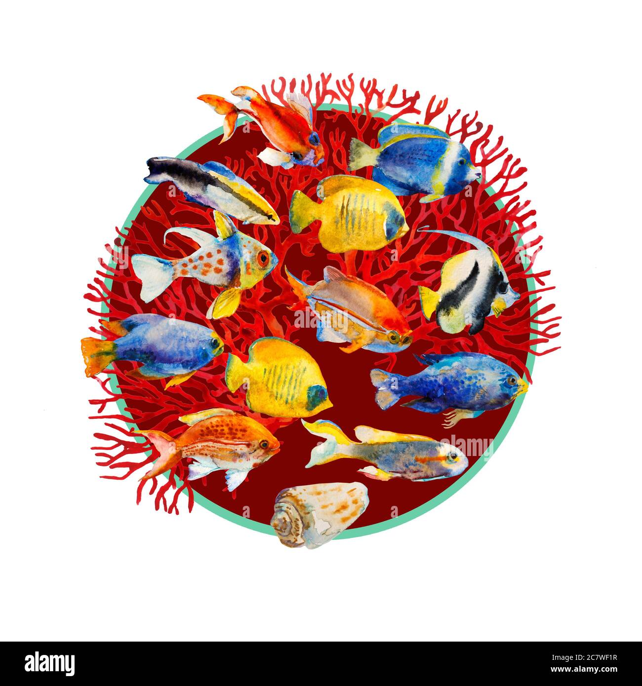 tropic sea fishes watercolor round pattern with red fan corals, isolated on white background. Different reef animals and corals as in wildlife or in Stock Photo