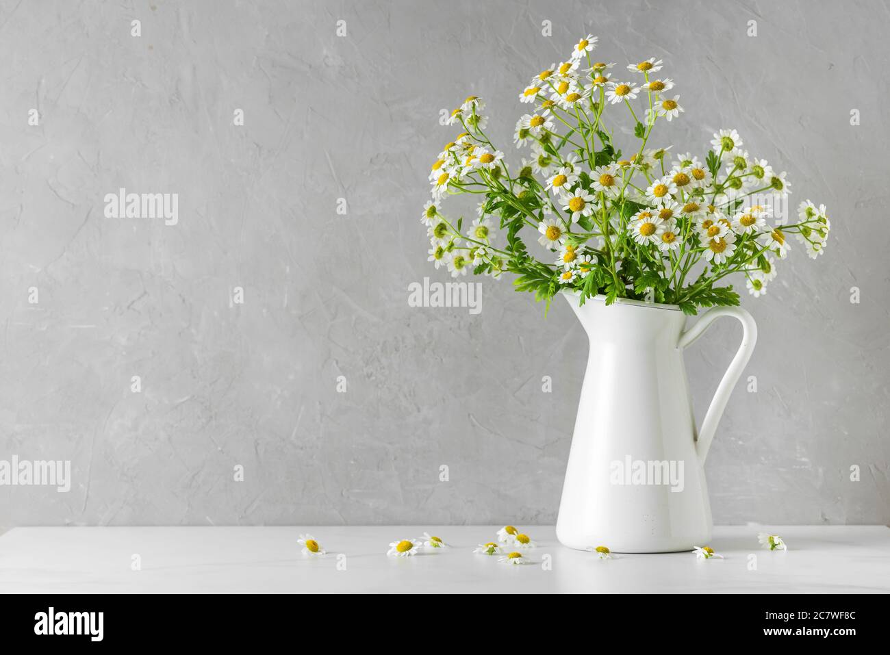 Chamomile or camomile flowers bouquet on white background with copy space. still life. wedding or holiday concept. festive background Stock Photo