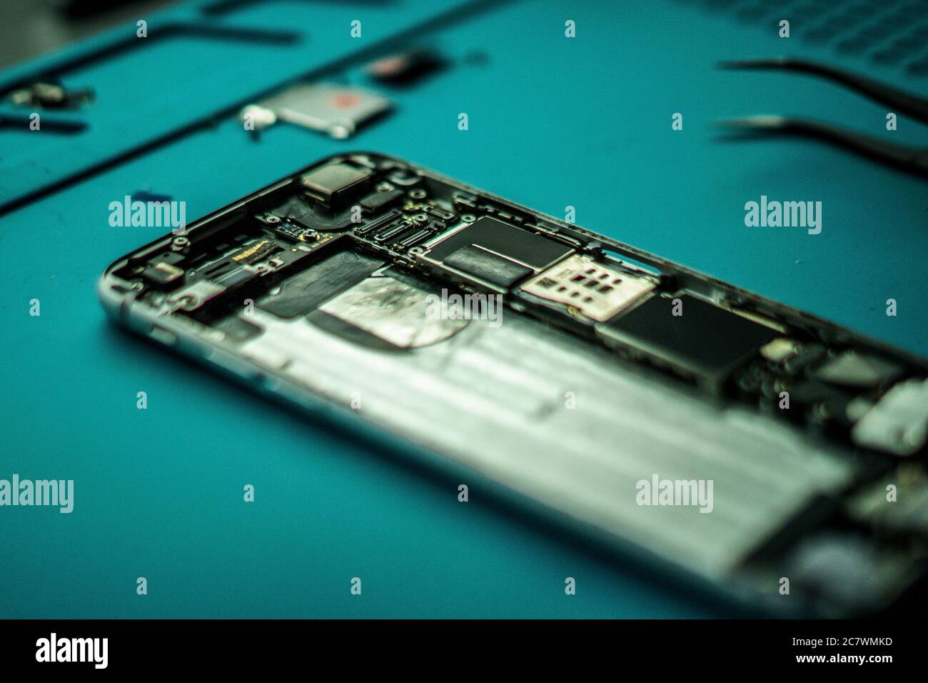 Cellular components hi-res stock photography and images - Alamy