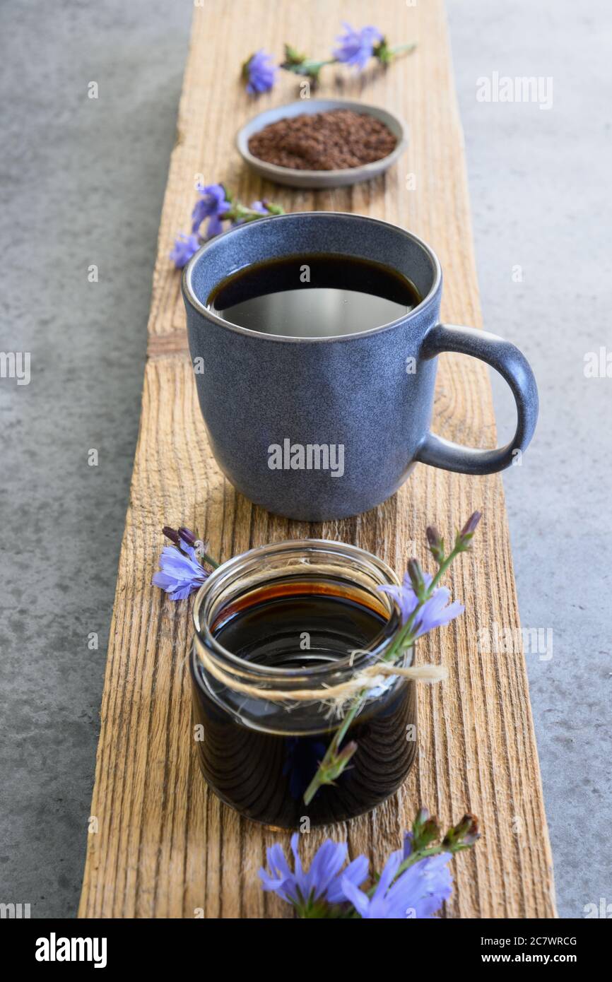 Chicory drink and flowers. Healthy herbal beverage, coffee substitute
