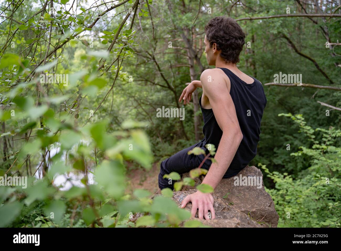 Rear view of man sitting on rock amidst trees in forest Stock Photo - Alamy