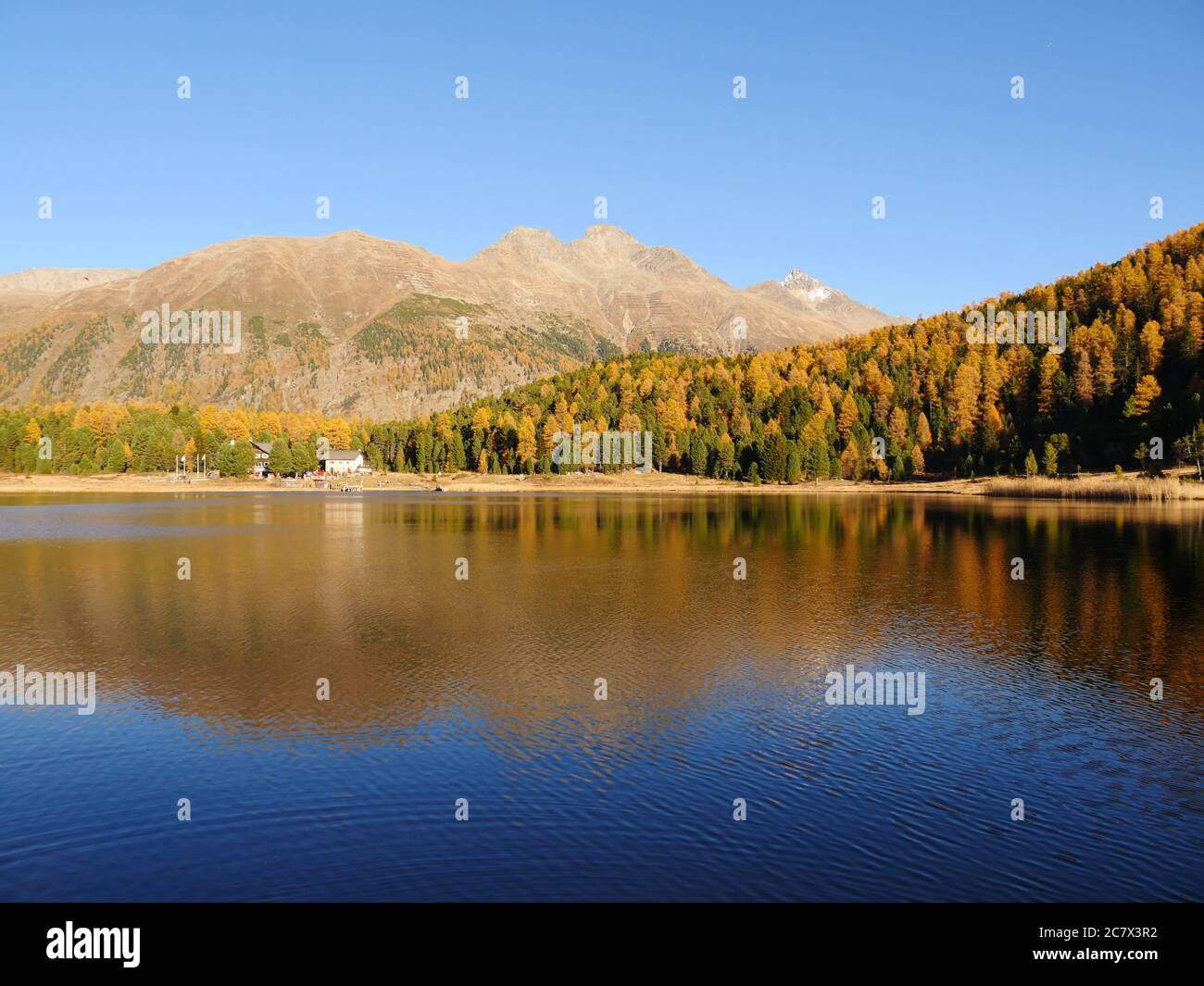 Beautiful shot of autumn forest and its reflection on the lake Stock ...