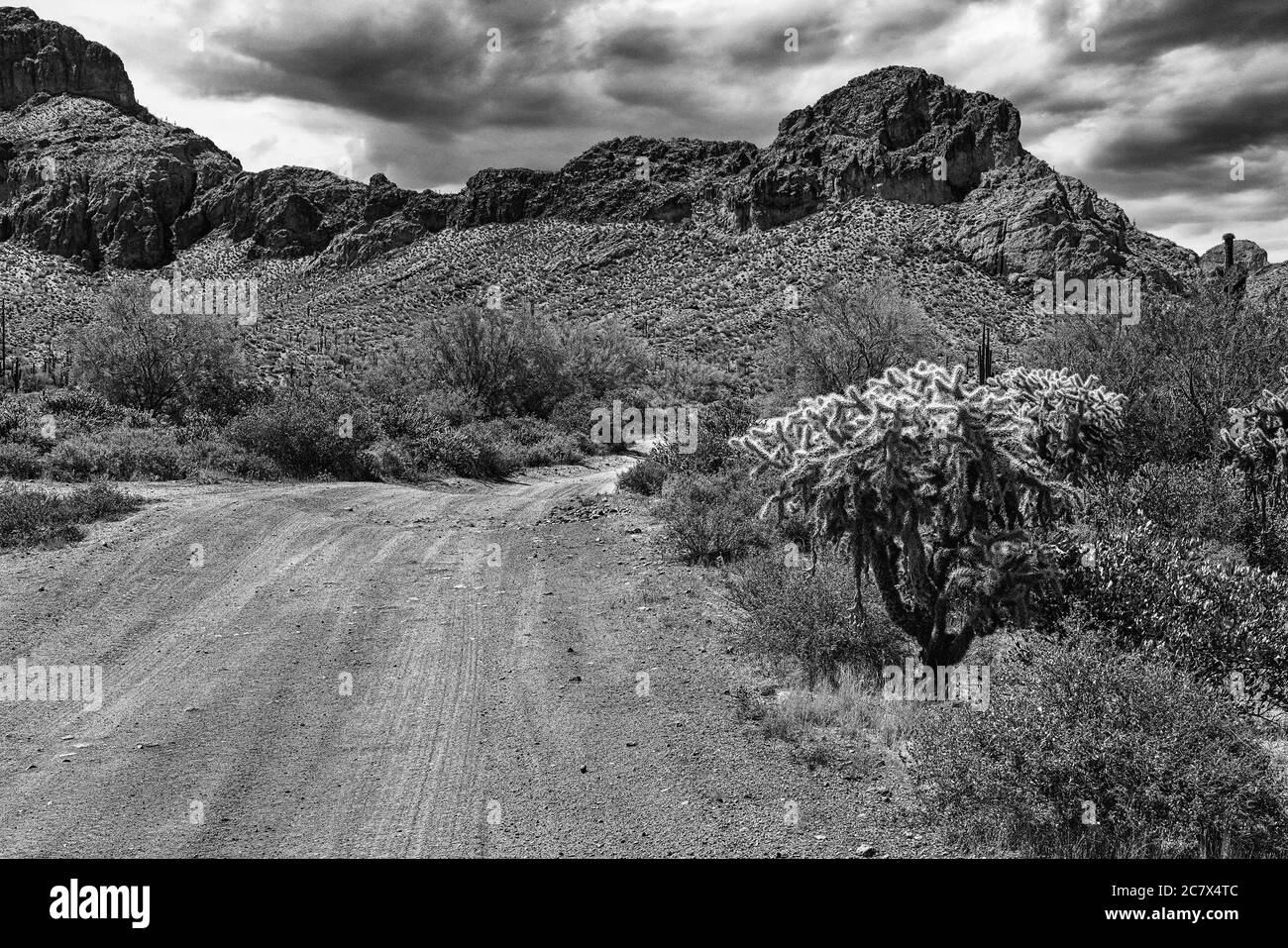 A view of the Sonoran Desert near Phoenix, Arizona. Stock Photo