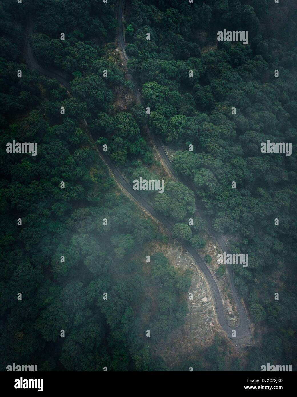 Aerial shot of a road in the forest with tall green dense trees Stock ...
