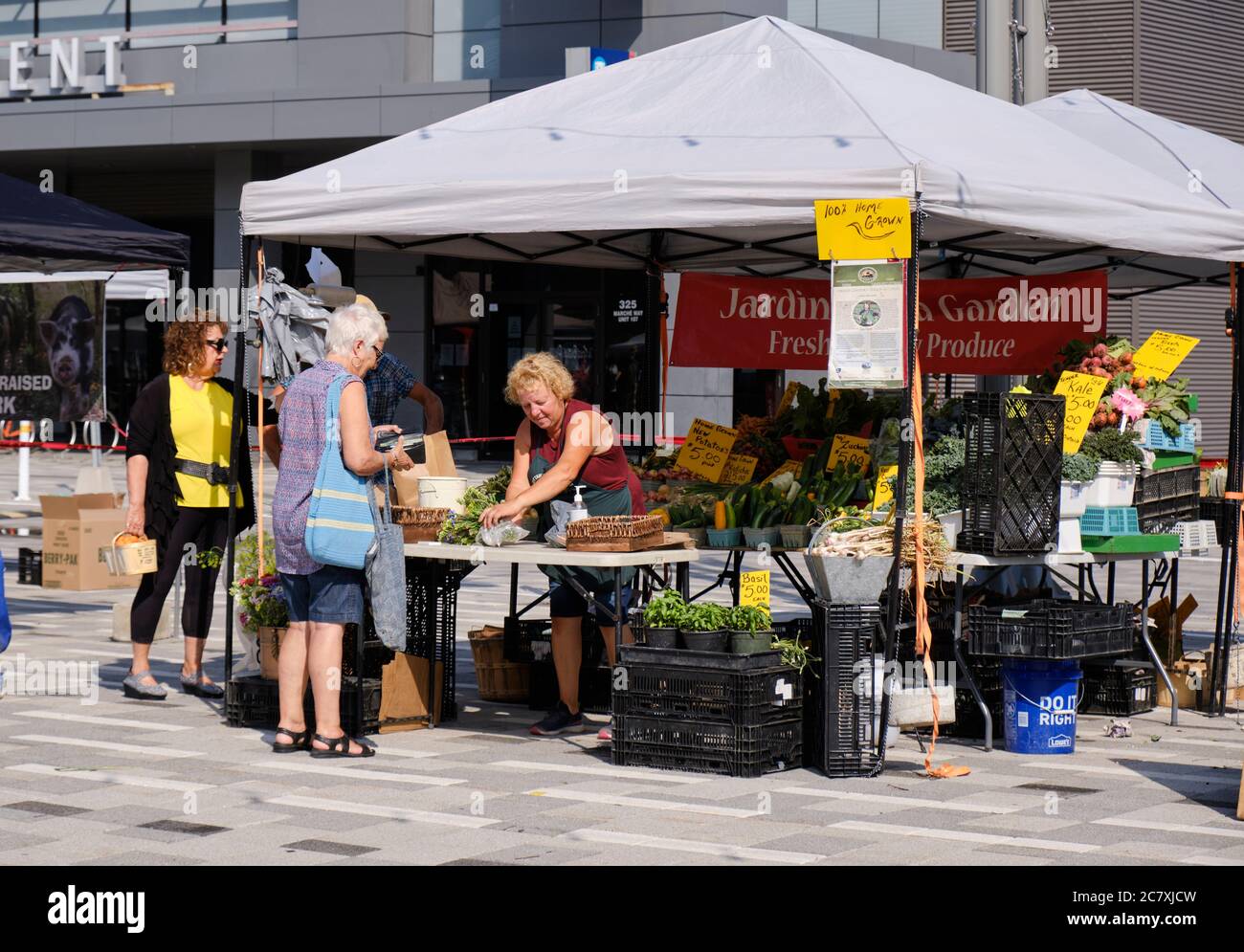 Lansdowne Farmers Market in Ottawa Vegetable seller at stall Stock