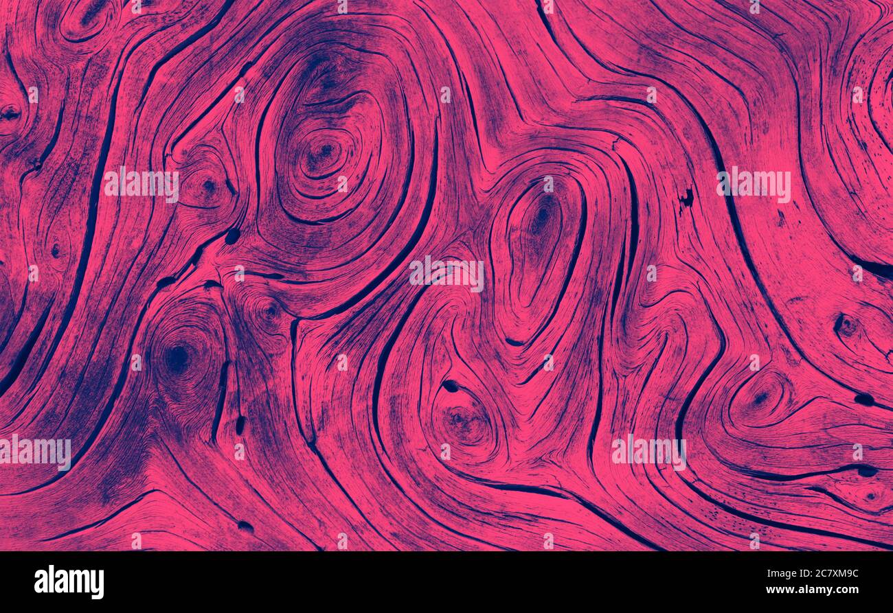 Weathered wooden texture on an old tree branch with twisted swirly patterns and colorful pink and blue effect Stock Photo