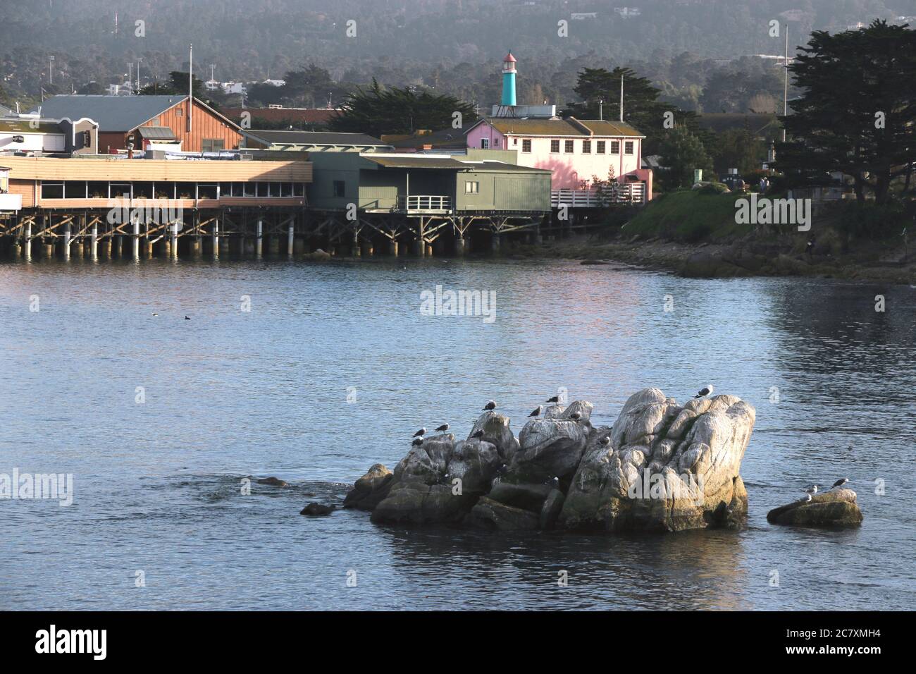 Sea gulls gathered on a rock in the foreground of a view of Fishermans Wharf, Monterey CA. Stock Photo